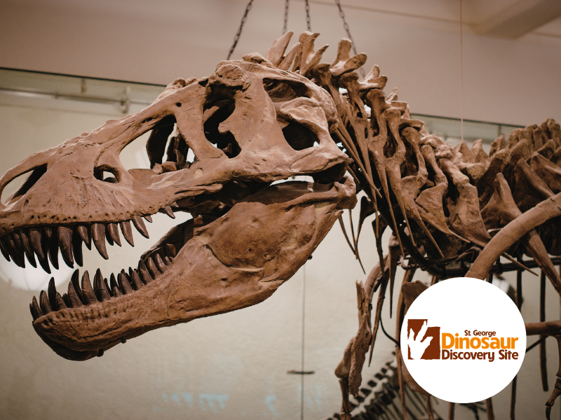 Dinosaur Discovery — 2 Family Passes
